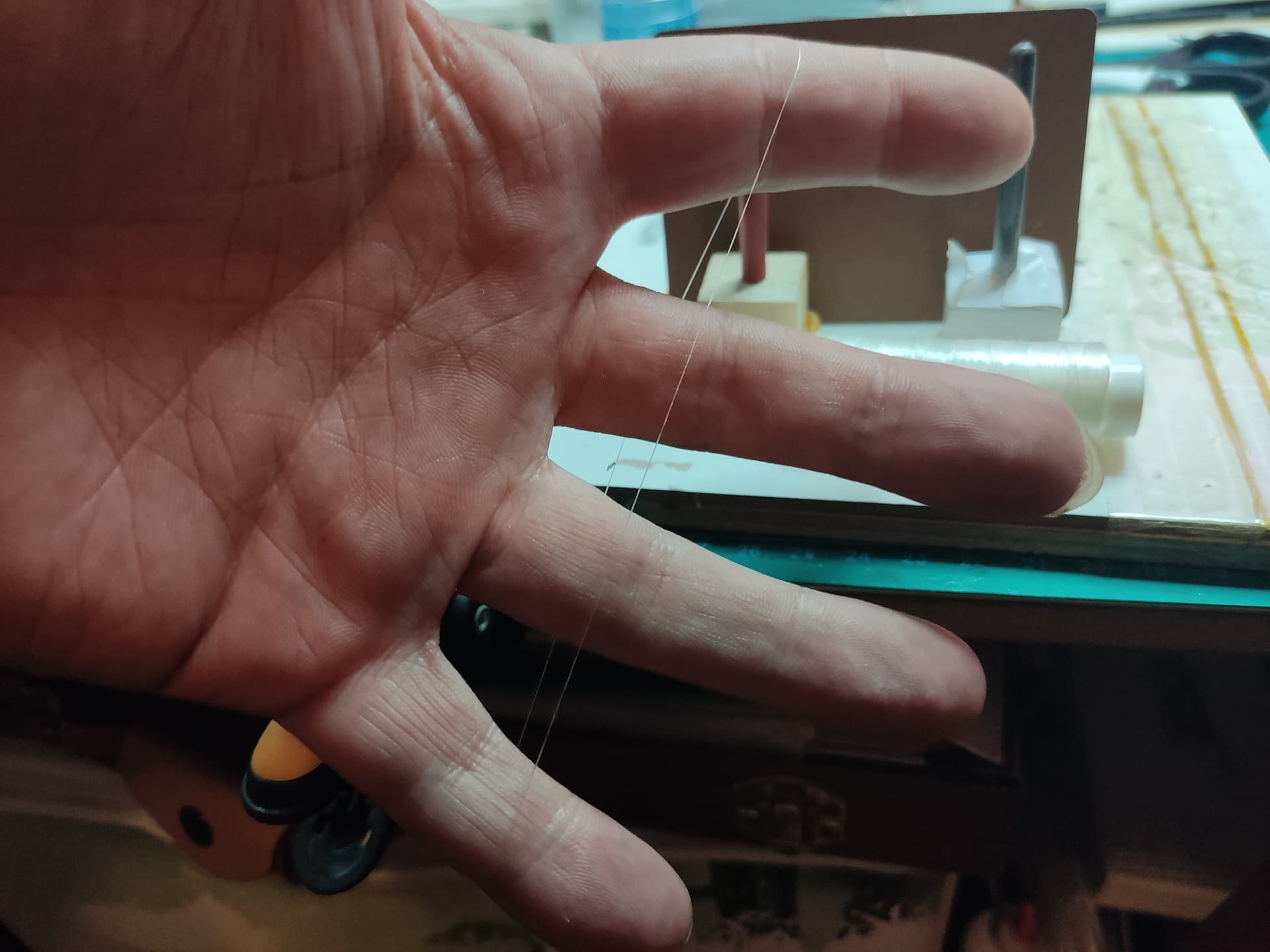 IMG_20230722_171136|666x500