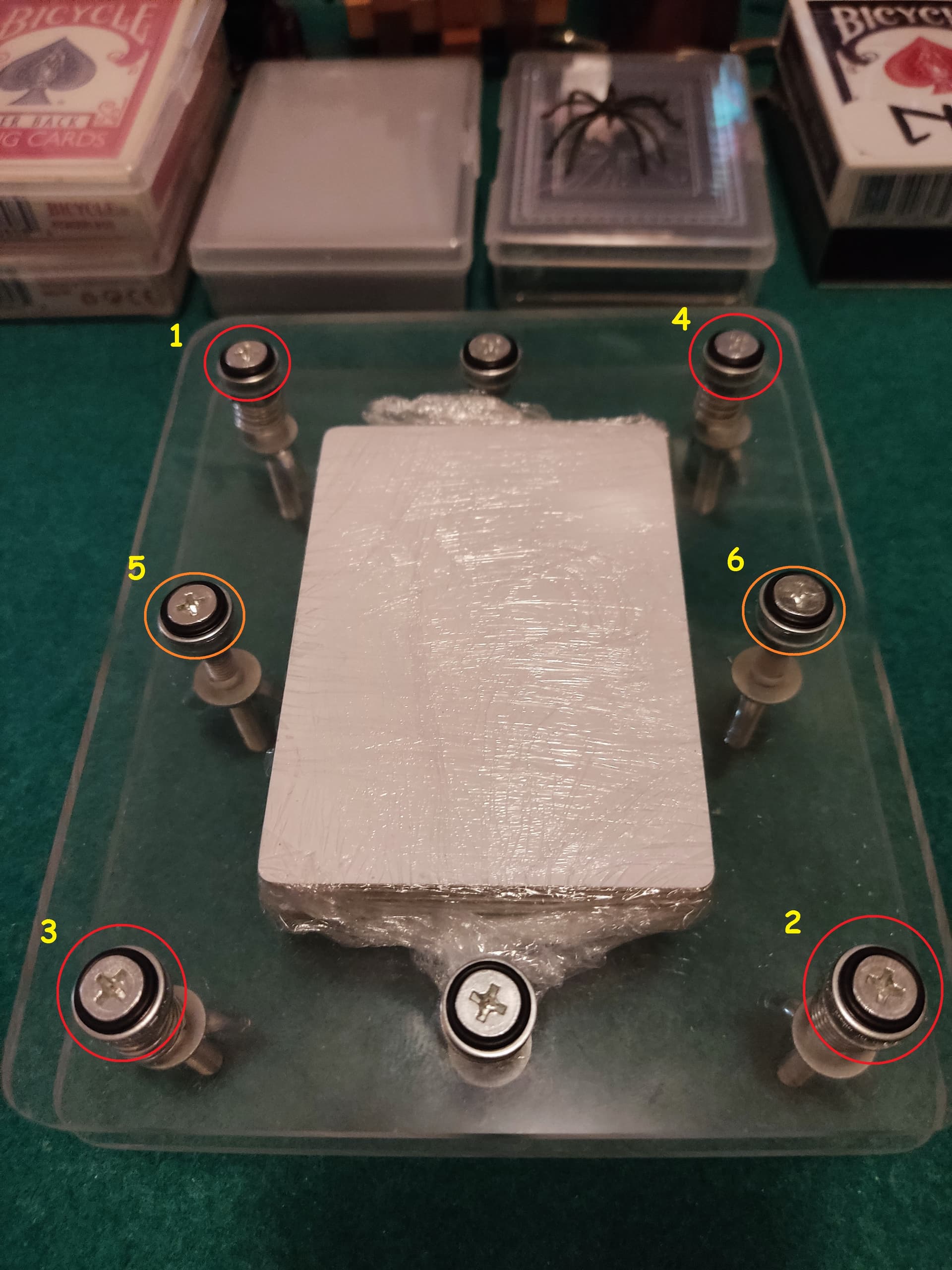 IMG_20230815_131154._b|375x500