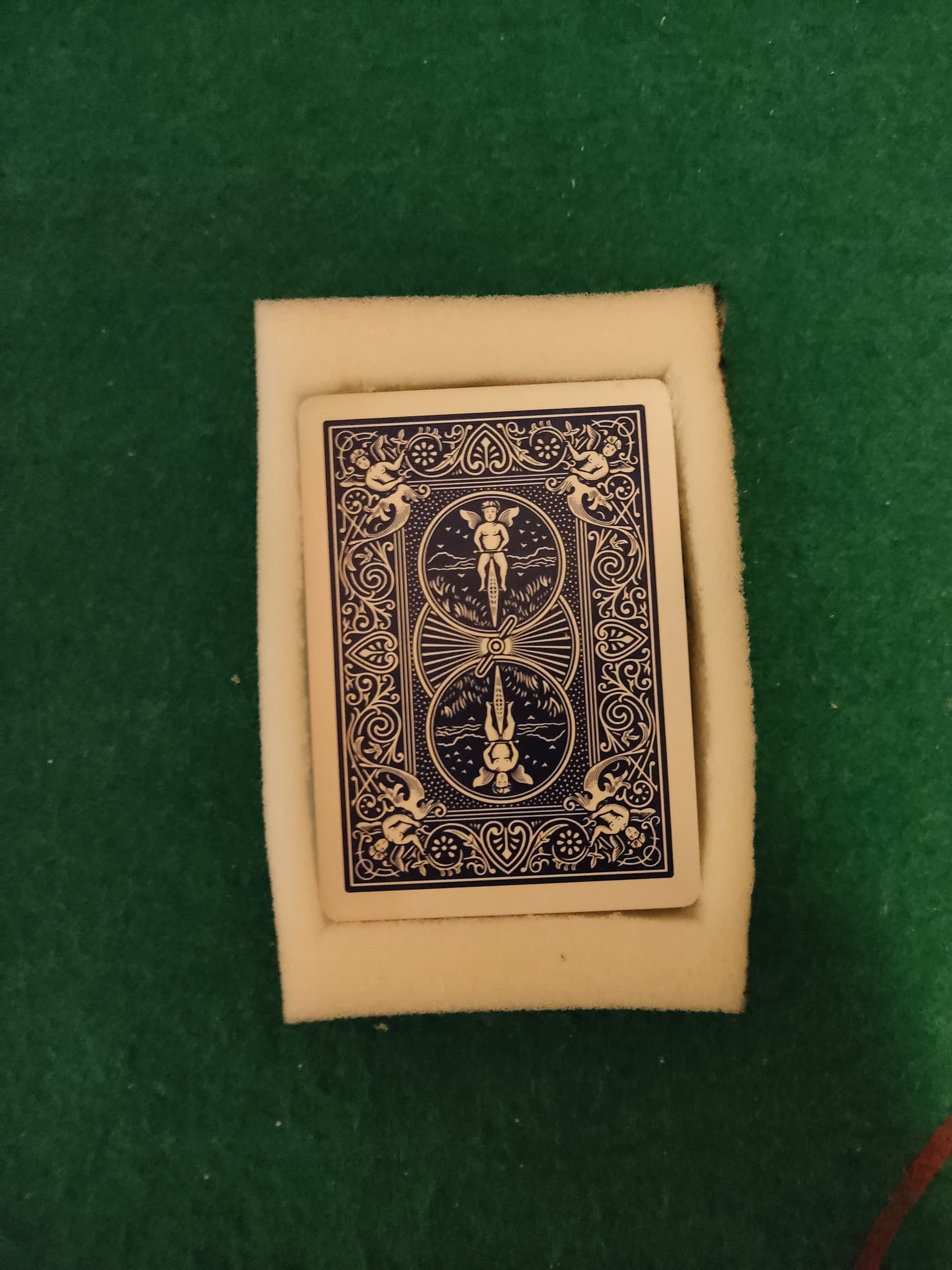 IMG_20230815_134828|375x500