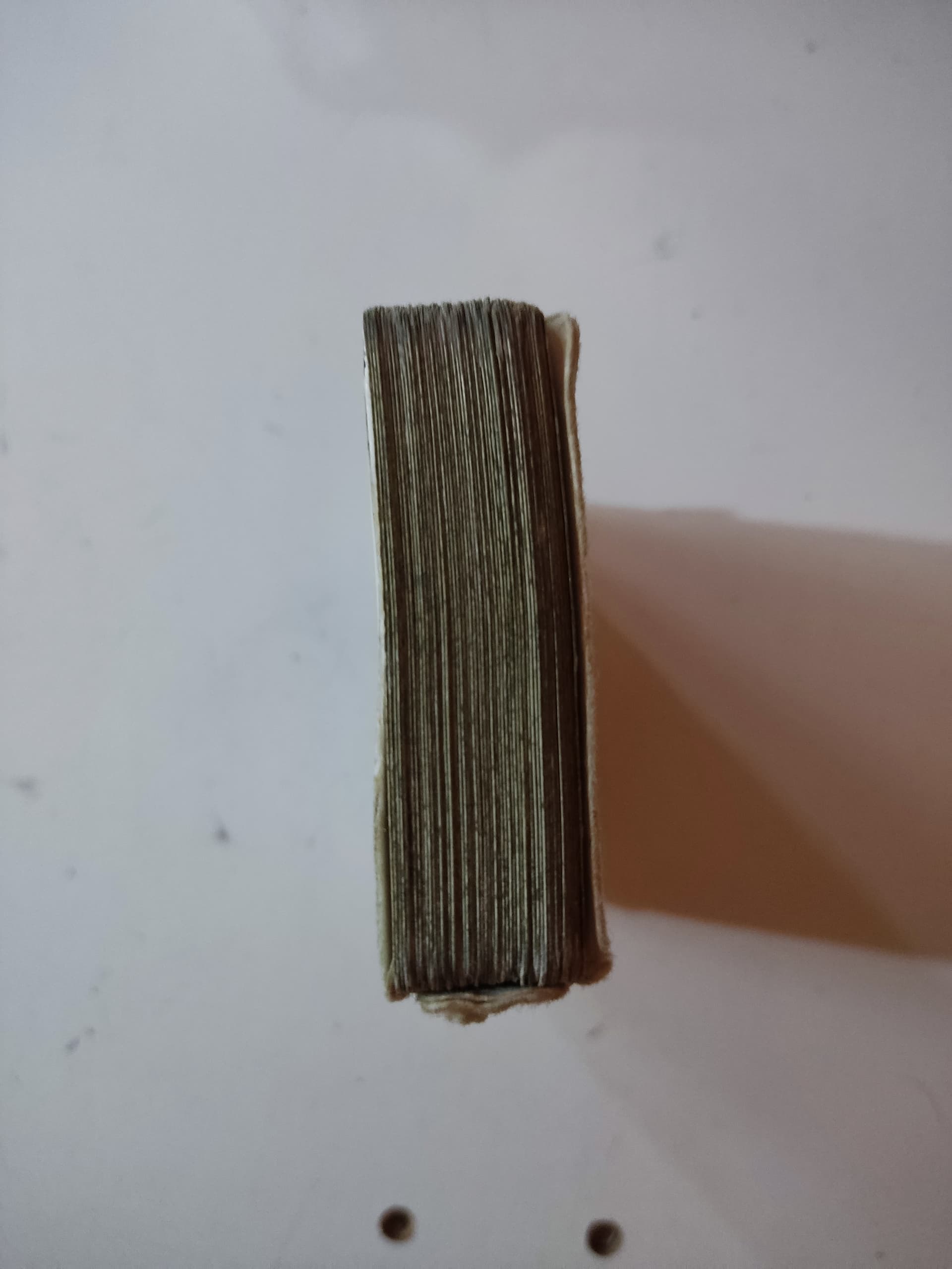 IMG_20230813_032425|375x500