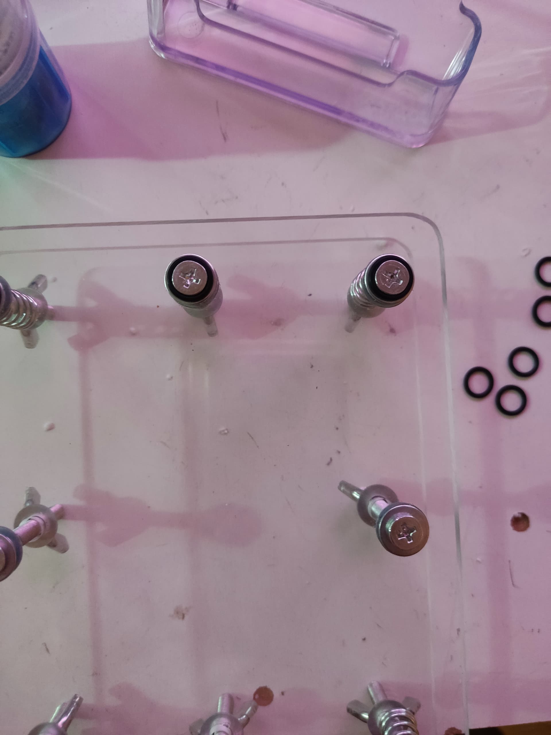 IMG_20230812_150317|375x500