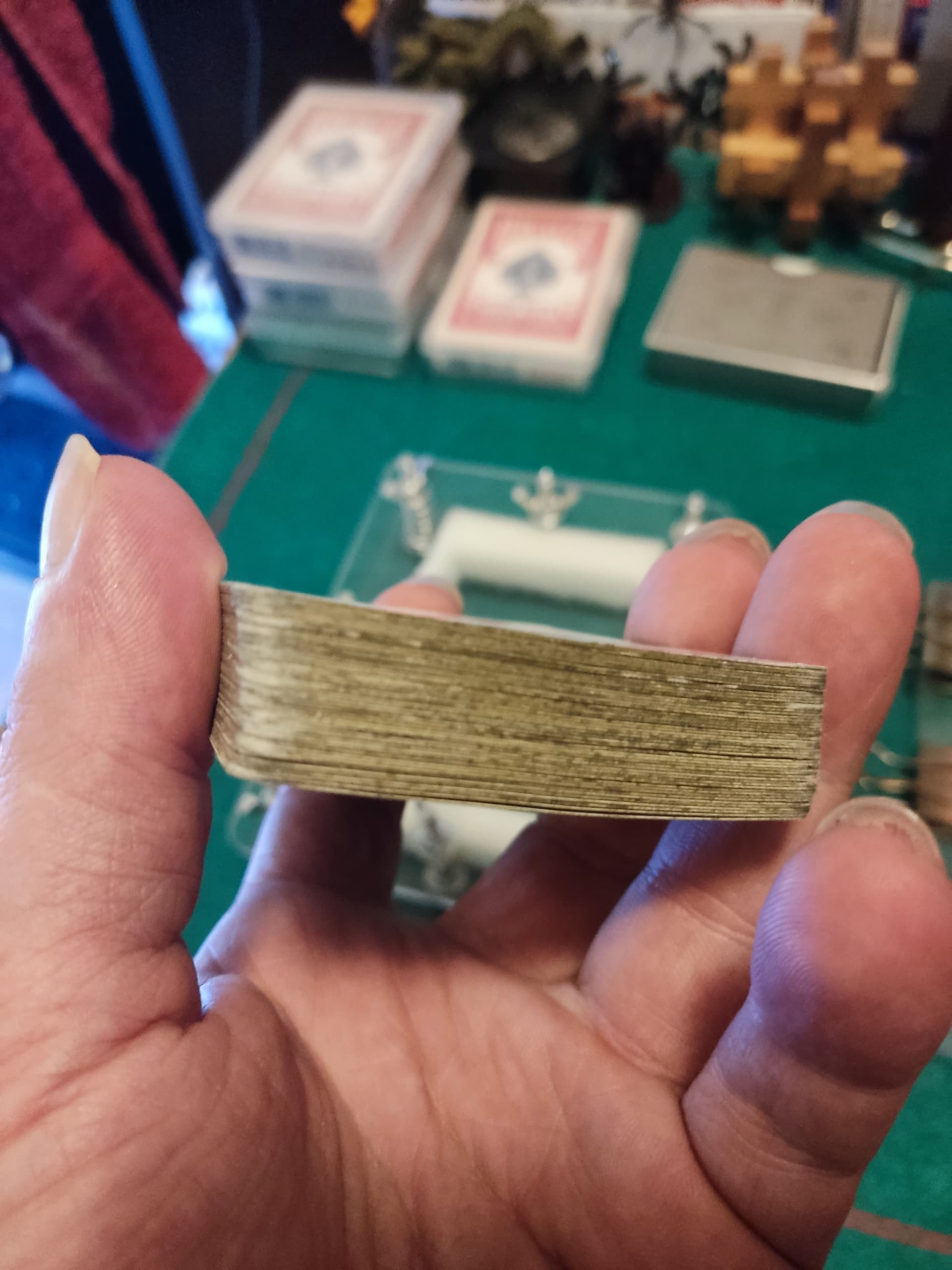 IMG_20230817_135723|375x500