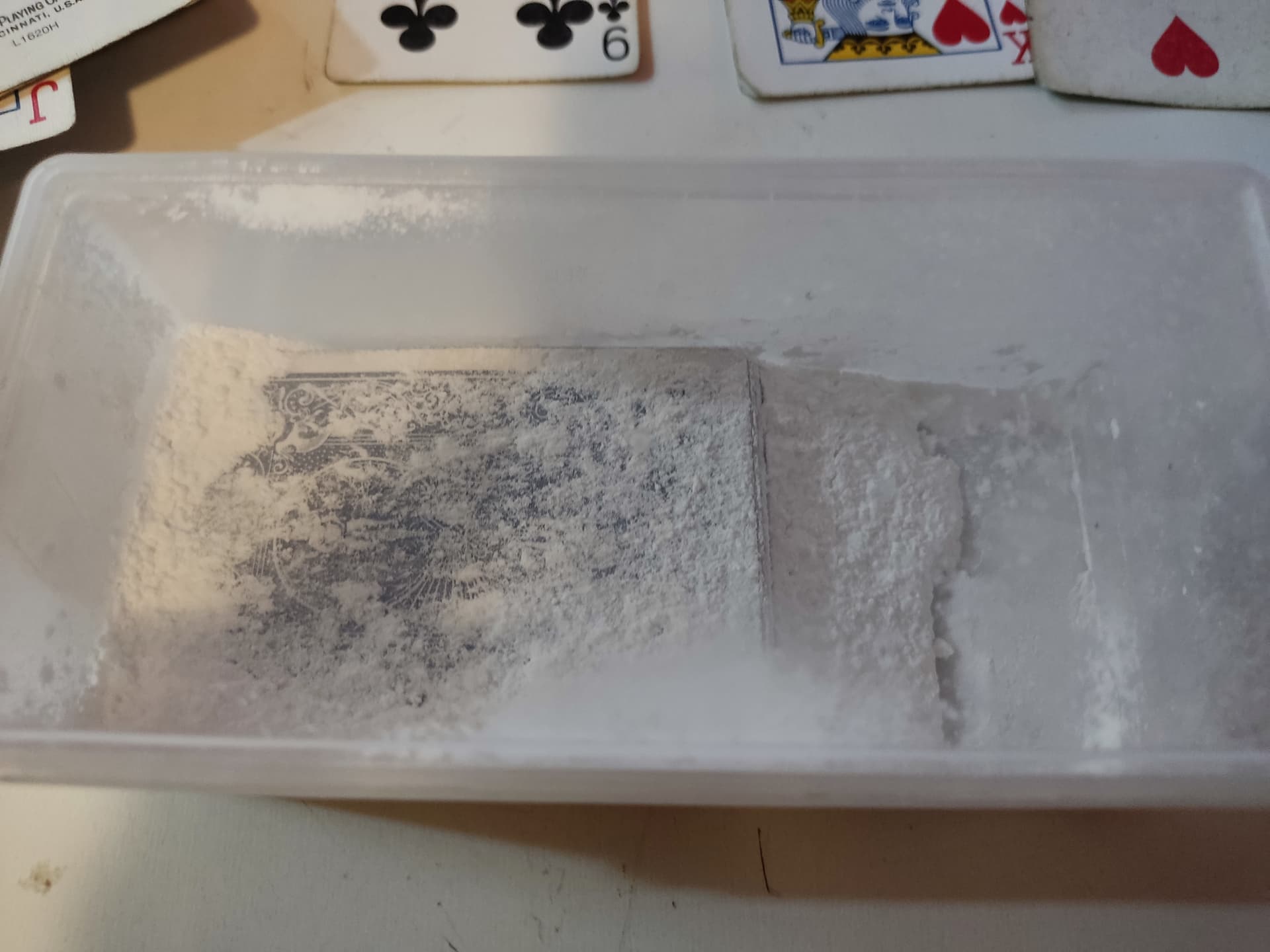 IMG_20230813_124109|666x500