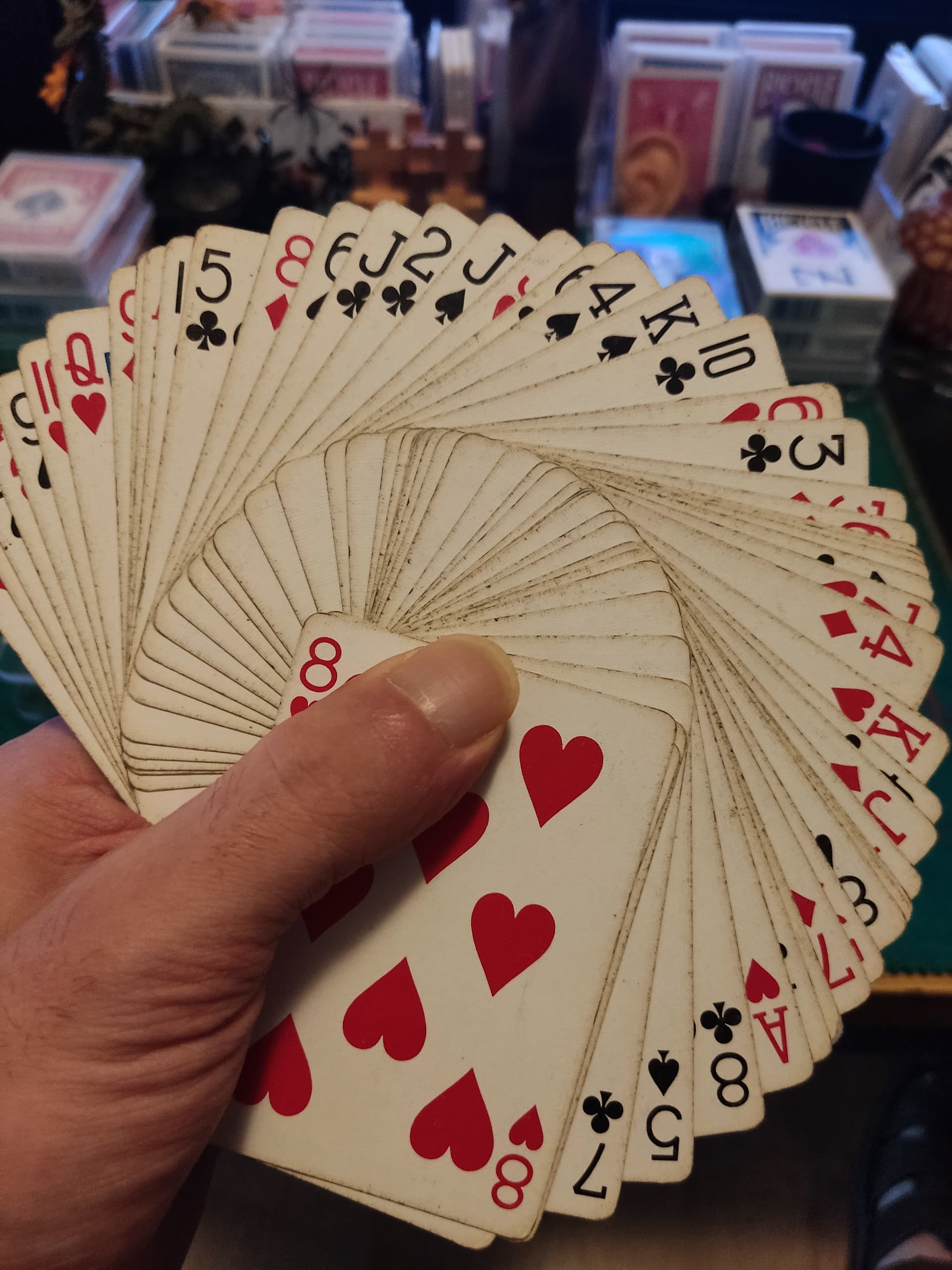 IMG_20230817_140046|375x500